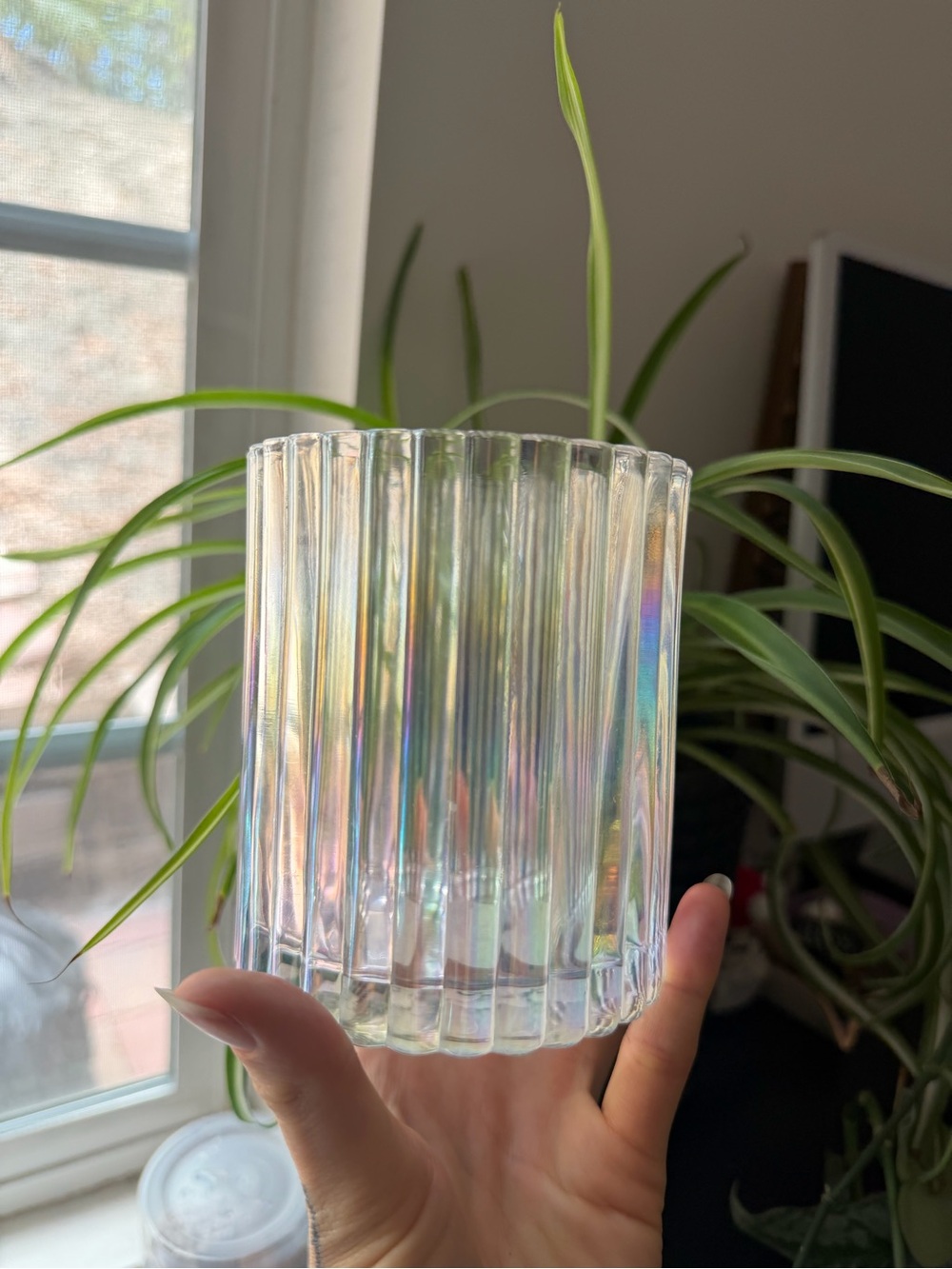 Iridescent Ribbed Glass Jar